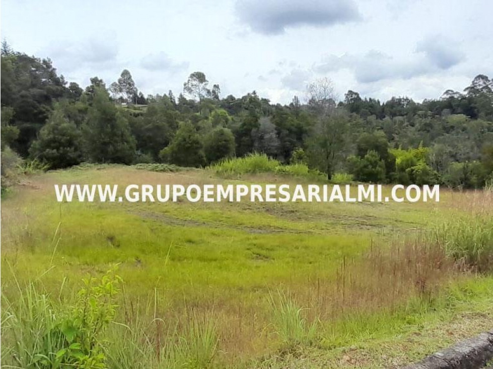 AMPLIO LOTE EN VENTA - SECTOR SAN VICENTE COD: 33058 — foto 2