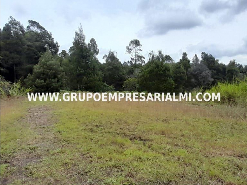 AMPLIO LOTE EN VENTA - SECTOR SAN VICENTE COD: 33058 — foto 3