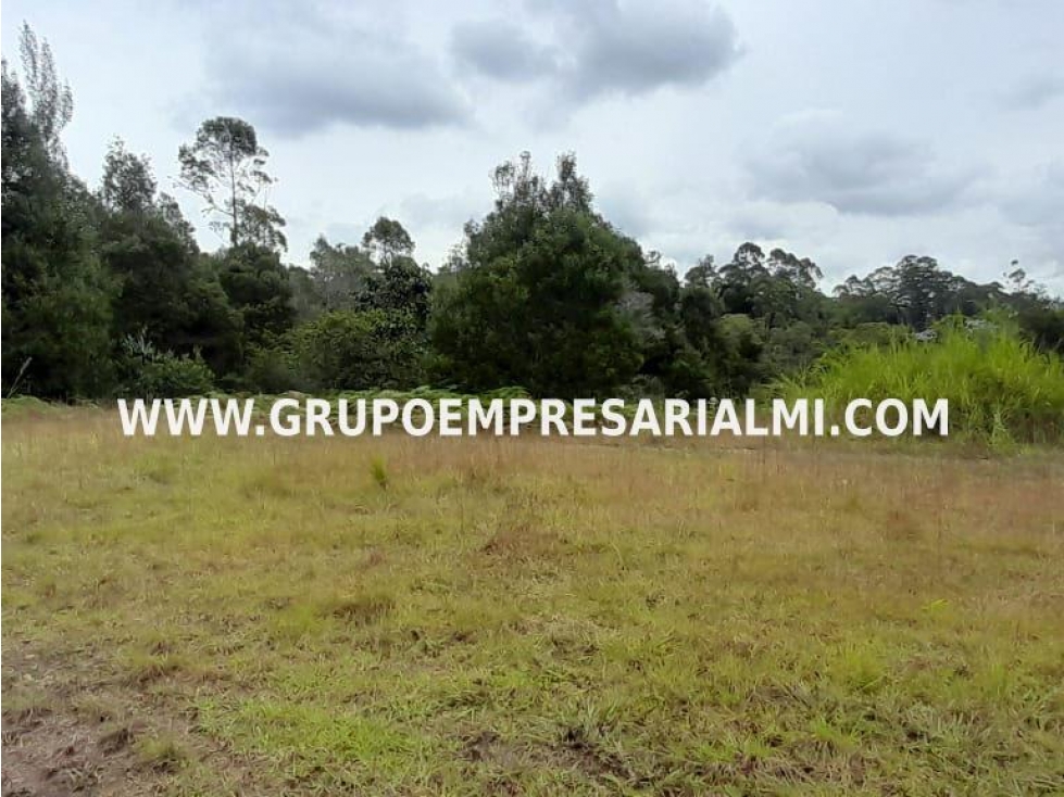 AMPLIO LOTE EN VENTA - SECTOR SAN VICENTE COD: 33058 — foto 4