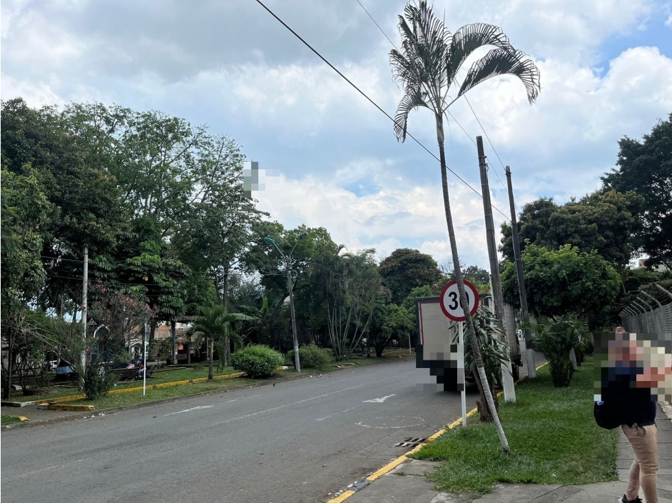 AP 308 BL A UN SALOMIA A CR 4 C 53 40 — foto 4
