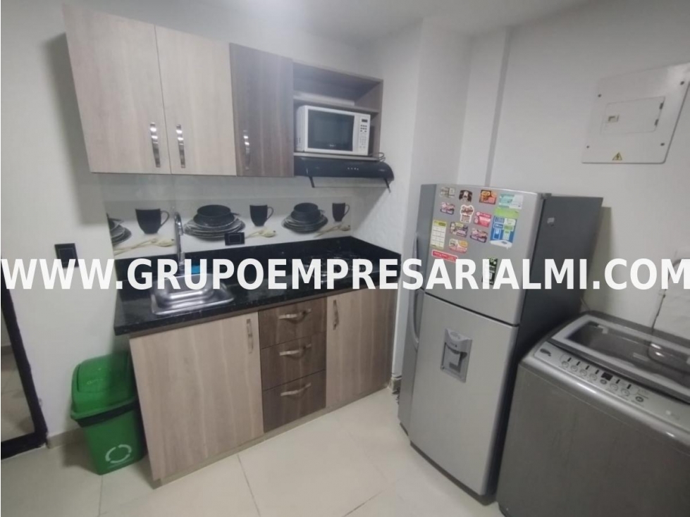 APARTAESTUDIO AMOBLADO EN ARRENDAMIENTO - LA CASTELLANA COD: 14127 — foto 2