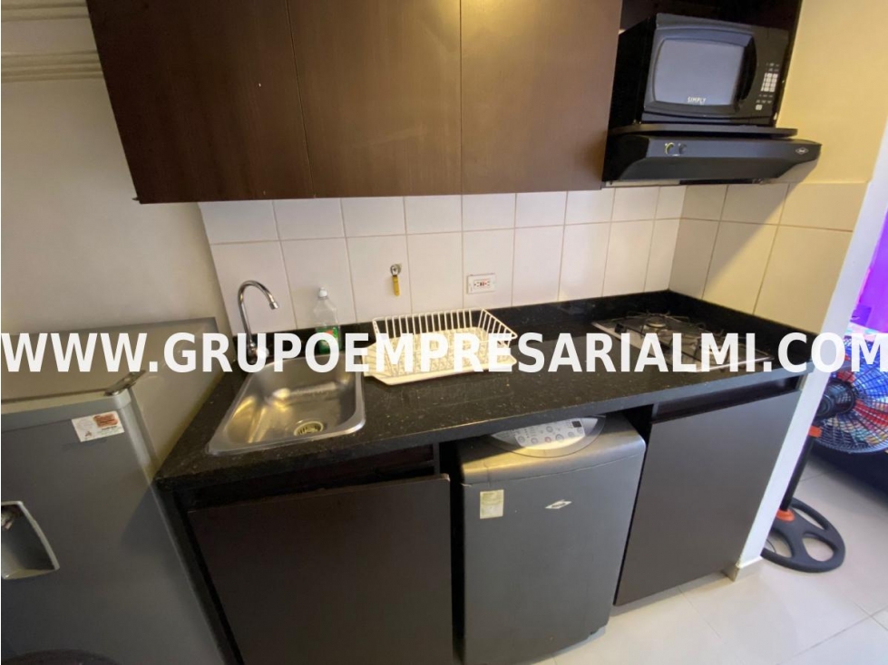 APARTAESTUDIO AMOBLADO EN ARRIENDO - SECTOR LA PALMA COD: 31585 — foto 2