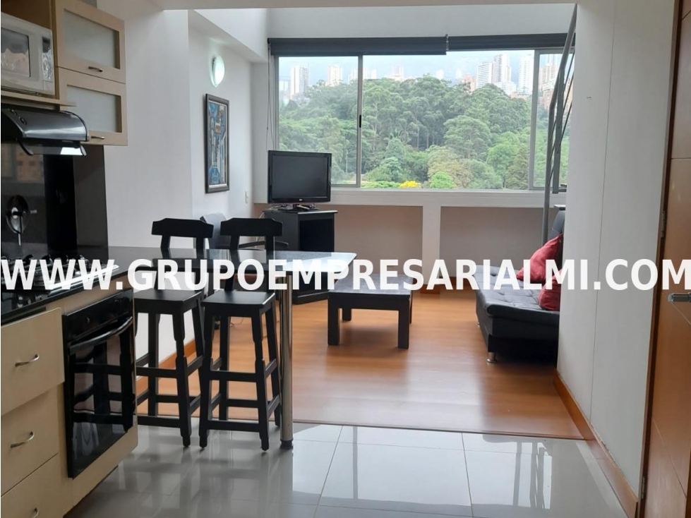 APARTAESTUDIO AMOBLADO EN ARRIENDO - SECTOR LA FRONTERA COD: 245 — foto 2
