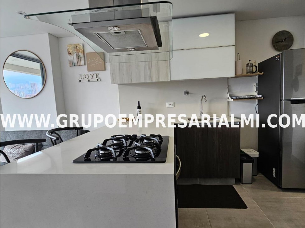 APARTAESTUDIO AMOBLADO EN ARRIENDO - SECTOR CIUDAD DEL RIO COD: 25602 — foto 3