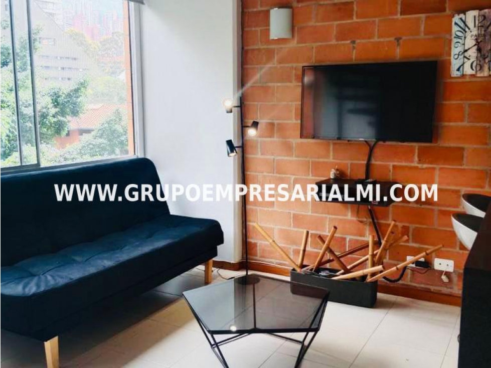 APARTAESTUDIO AMOBLADO EN ARRIENDO - SECTOR LA LINDE COD: 33022 — foto 2