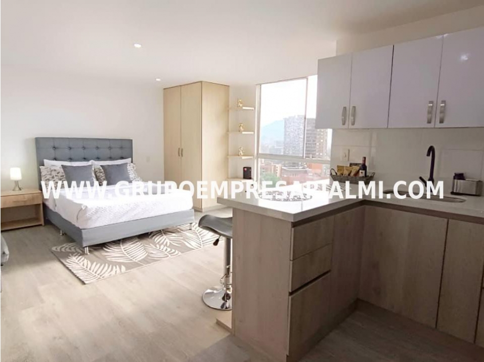 APARTAESTUDIO AMOBLADO EN ARRIENDO - SECTOR LA FRONTERA COD: 33968 — foto 2