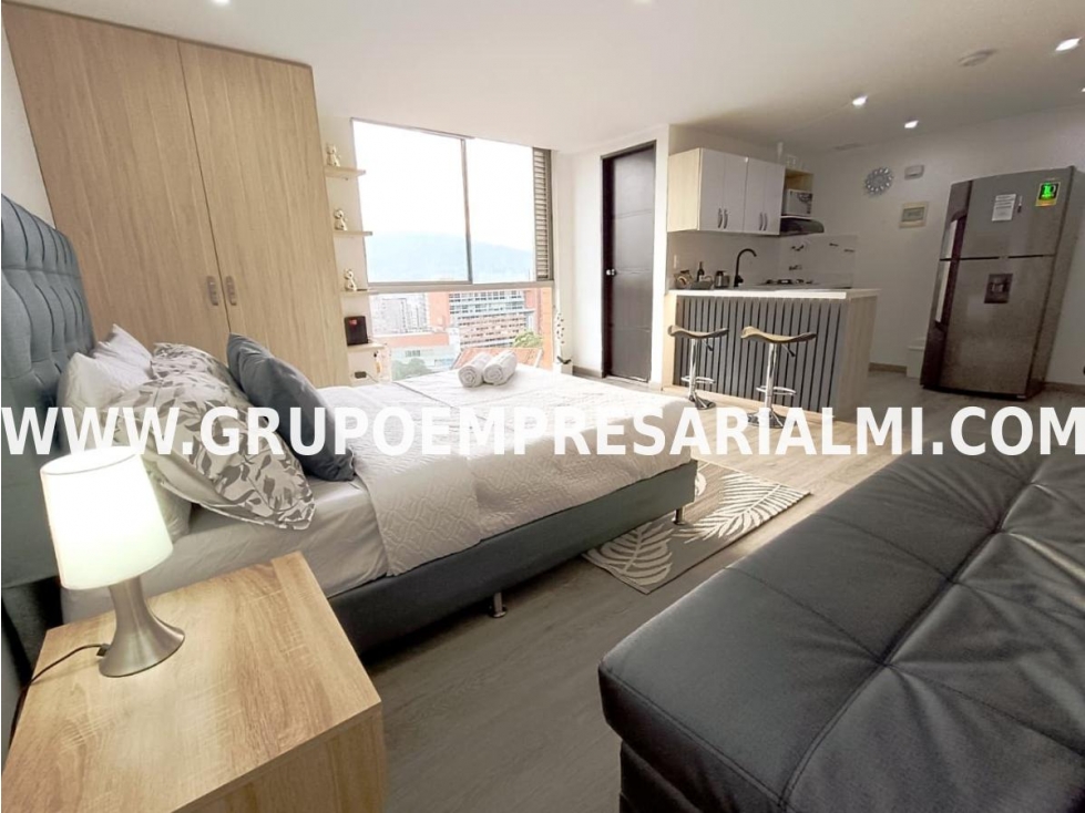 APARTAESTUDIO AMOBLADO EN ARRIENDO - SECTOR LA FRONTERA COD: 33968 — foto 5