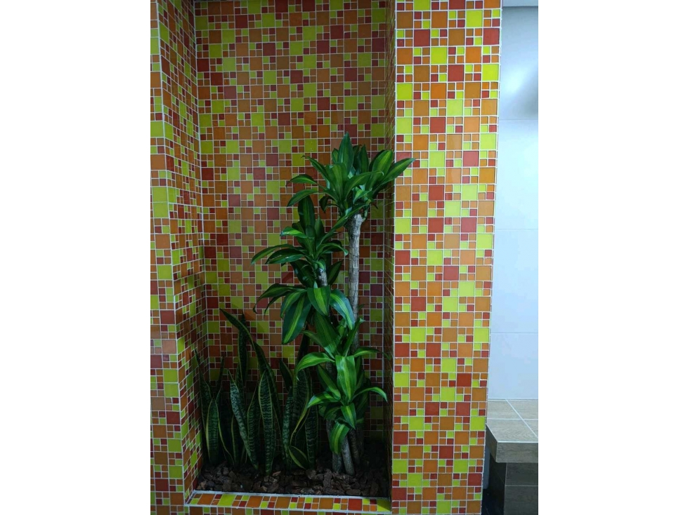 Venta Apartamento Calazans — foto 3
