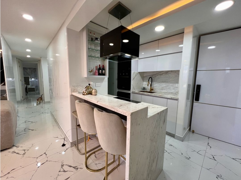 Vendo Apartamento 100% Remodelado Salitre (79 m²) — foto 6