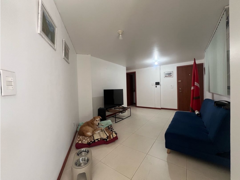 Apartamento 1 alcoba Palermo Manizales — foto 5