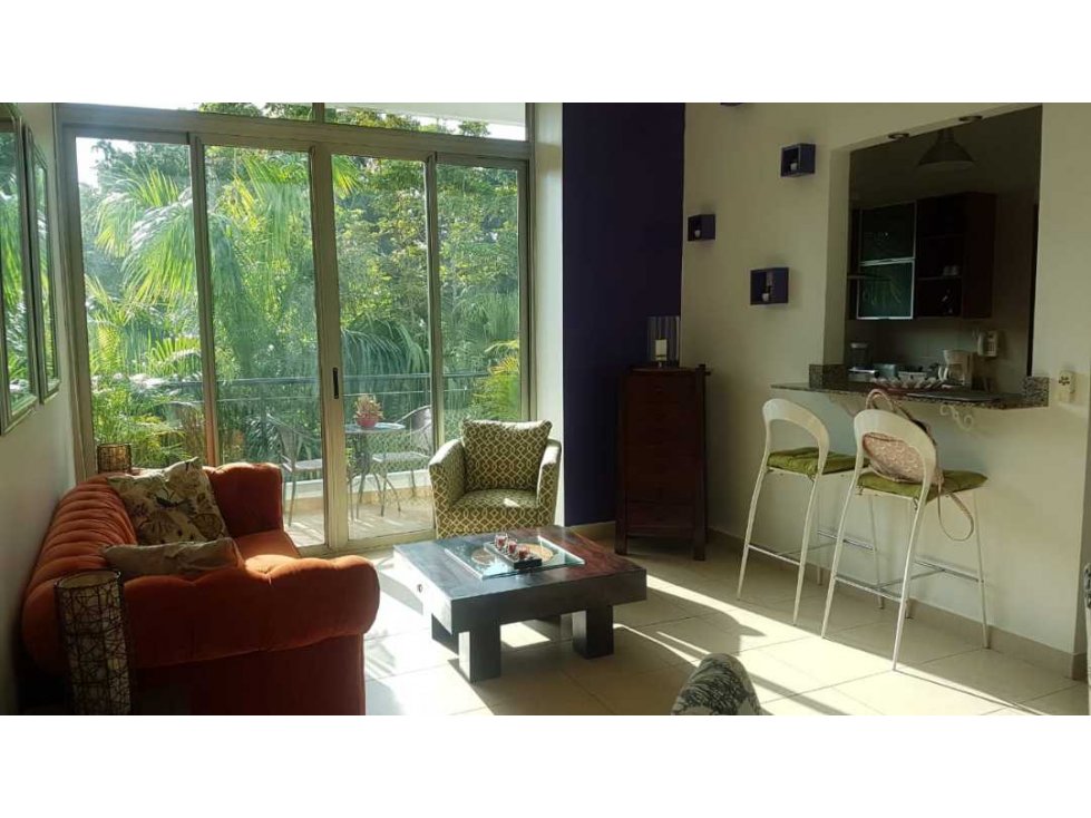 APARTAMENTO AMADOR AMOBLADO 2 RECAMARAS - 2