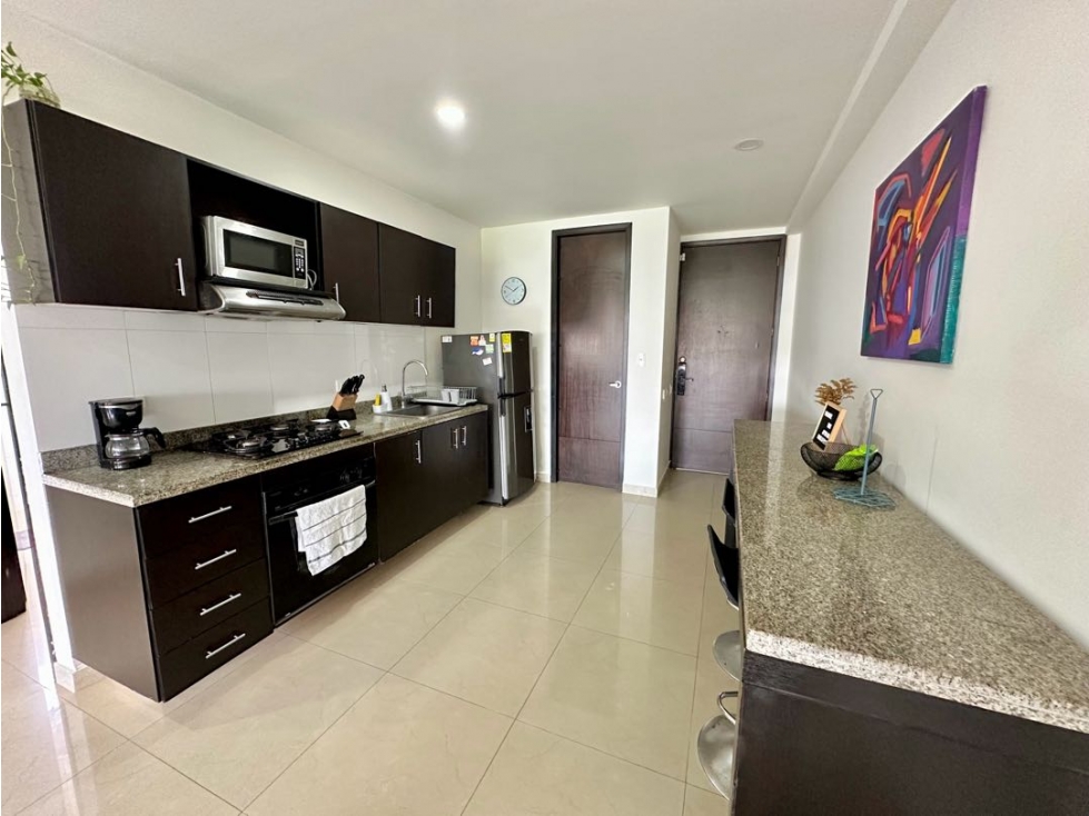 Apartamento amoblado en alquiler, Sector Buenavista. — foto 4