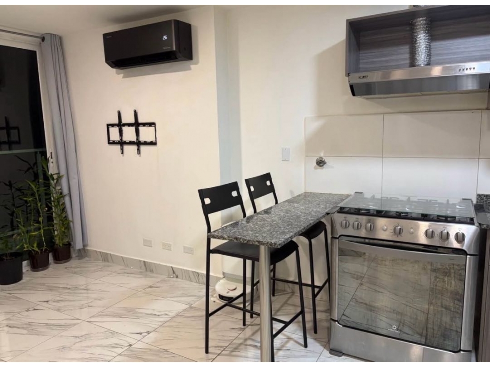 APARTAMENTO AMOBLADO EN ALQUILER EN PH EL BOTÁNICO $1,100 — foto 4