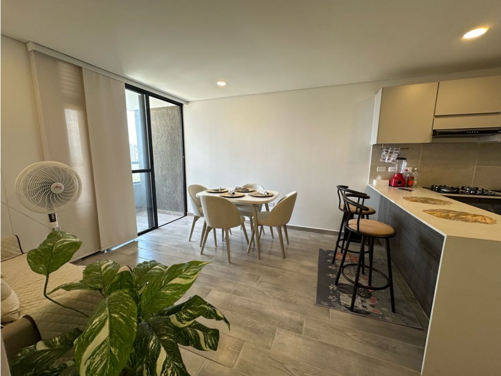 APARTAMENTO AMOBLADO O SIN AMOBLAR EN CASTELLANA 51 — foto 3