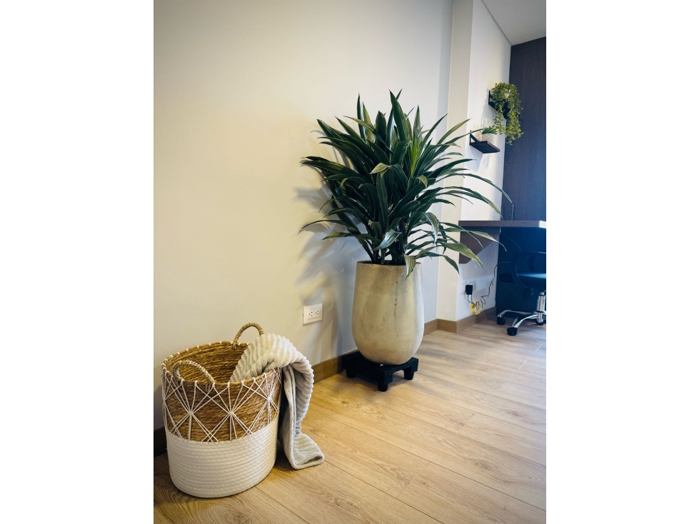 Apartamento amoblado en Palermo — foto 3