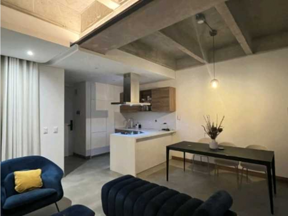 APARTAMENTO AMOBLADO PARA LA RENTA EN CIUDAD DEL RIO — foto 4