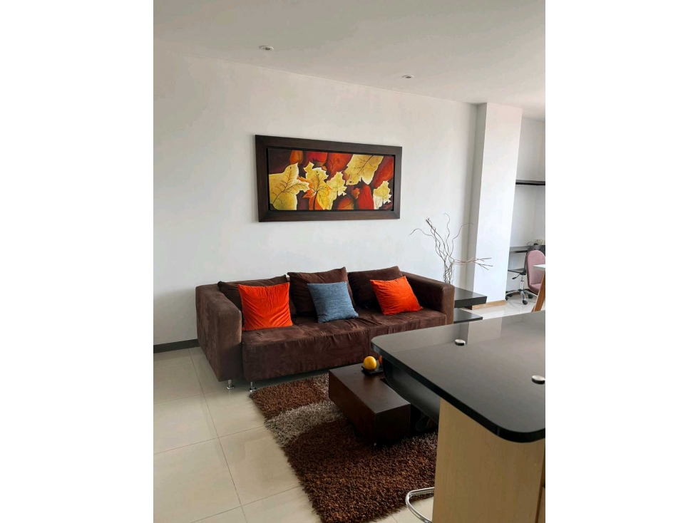 APARTAMENTO AMOBLADO RENTA DIARIA — foto 3