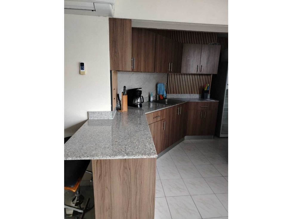 APARTAMENTO EL CANGREJO, PH IBIZA AMOBLADO - 3
