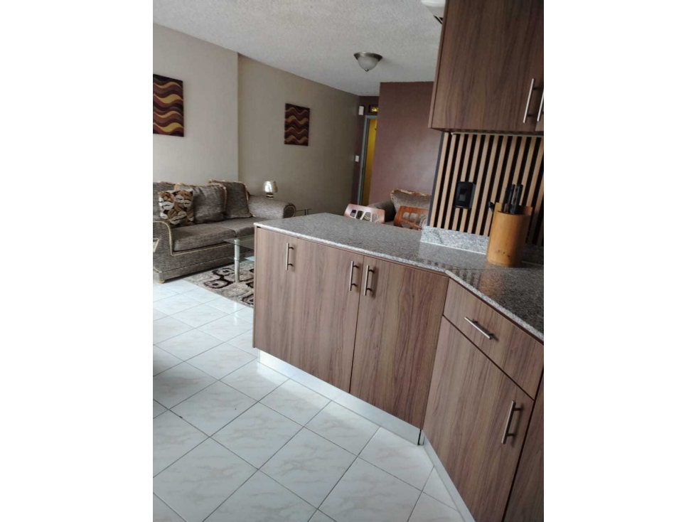 APARTAMENTO EL CANGREJO, PH IBIZA AMOBLADO - 4