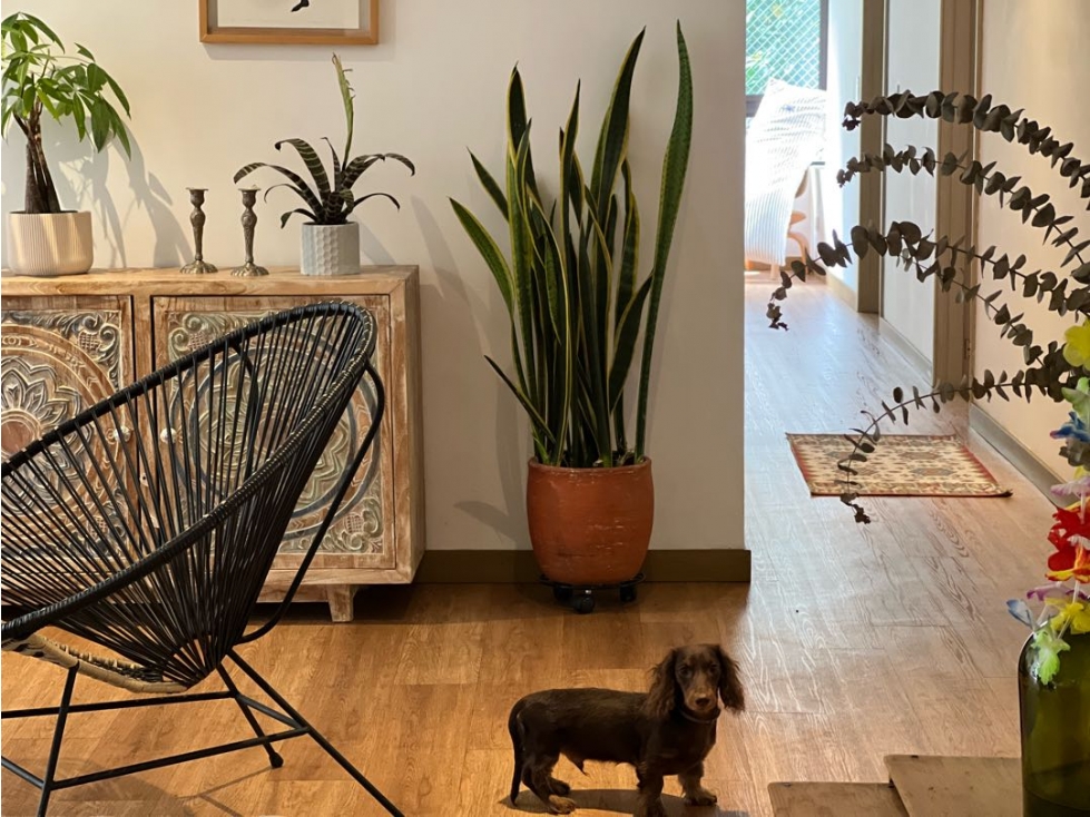 Apartamento en campestre, reformado impecable — foto 4