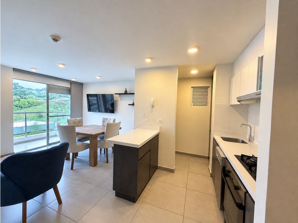 APARTAMENTO EN VENTA AVENIDA CENTENARIO — foto 2