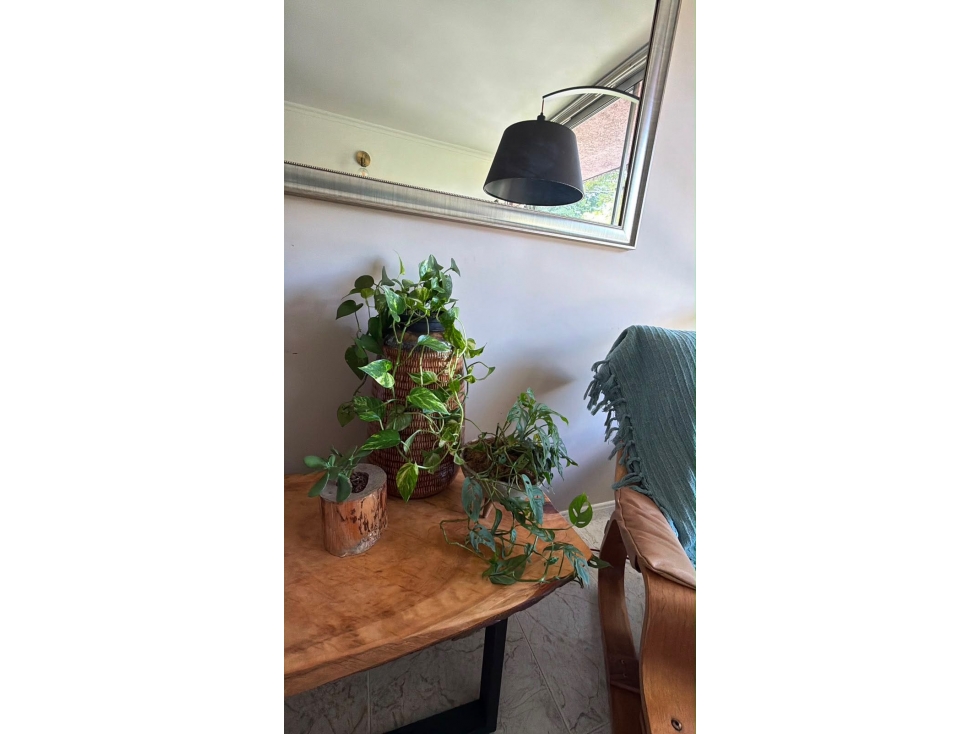 APARTAMENTO EN VENTA BARRIO MANILA EL POBLADO — foto 3