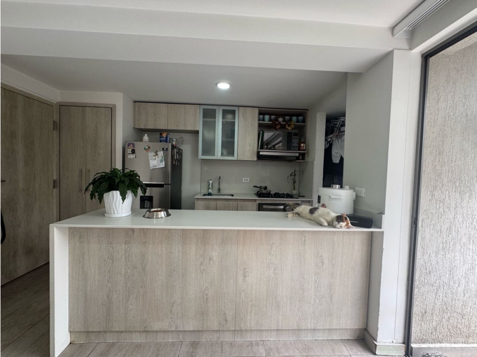 Apartamento en venta en la loma de los bernal — foto 4