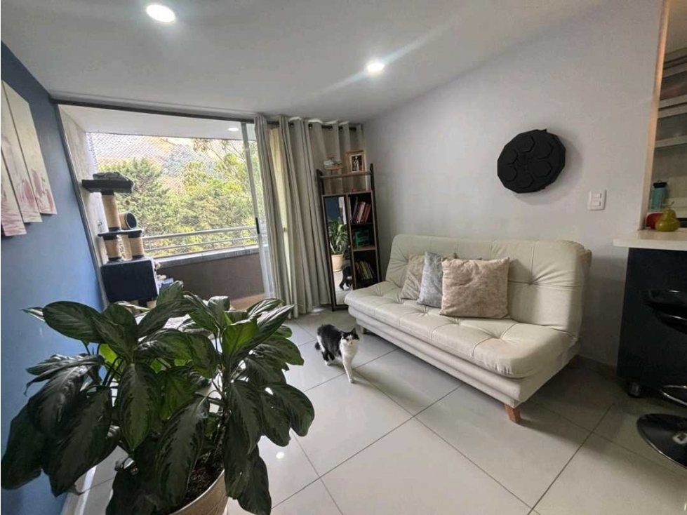 Apartamento en venta en Madera Bello — foto 4