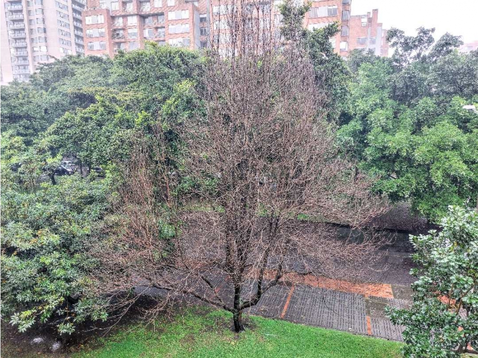 APARTAMENTO EN VENTA EN MAZUREN — foto 5