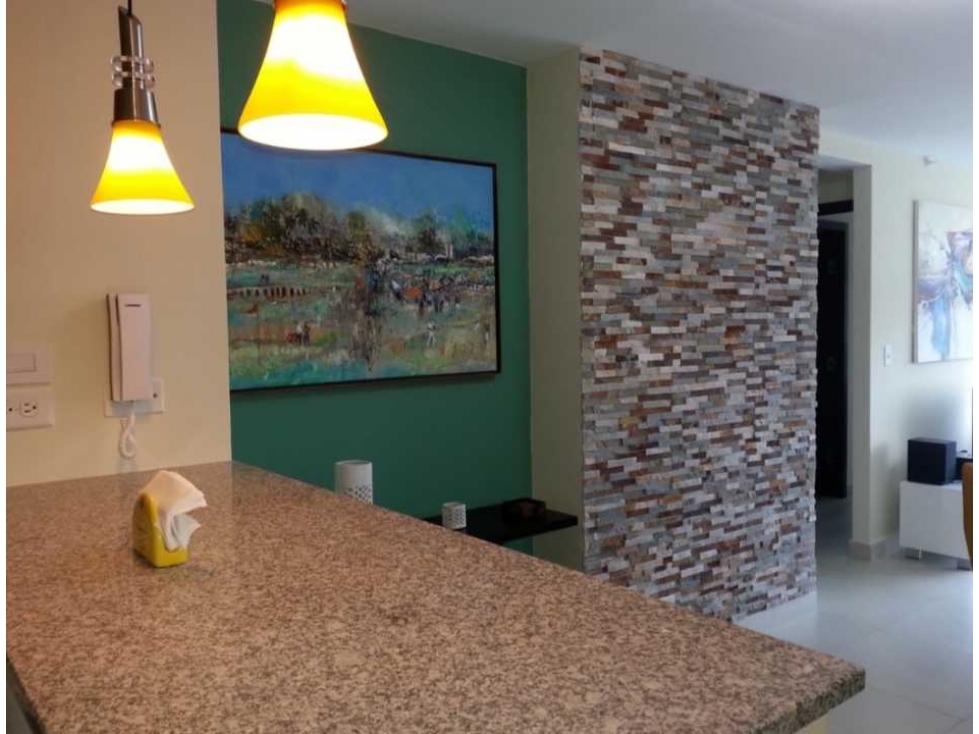 APARTAMENTO EN VENTA EN PARQUE LEFEVRE — foto 2