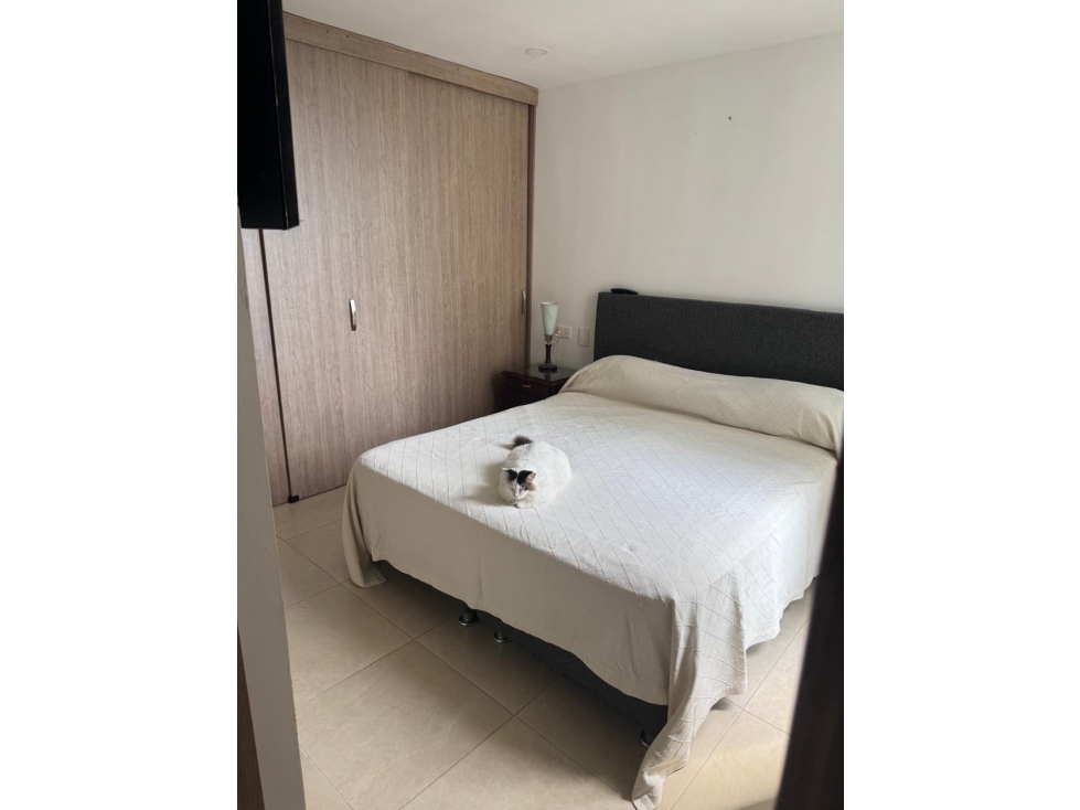 APARTAMENTO EN VENTA FONTANA CAMPESTRE MIROLINDO IBAGUE 9P 67M2 — foto 2