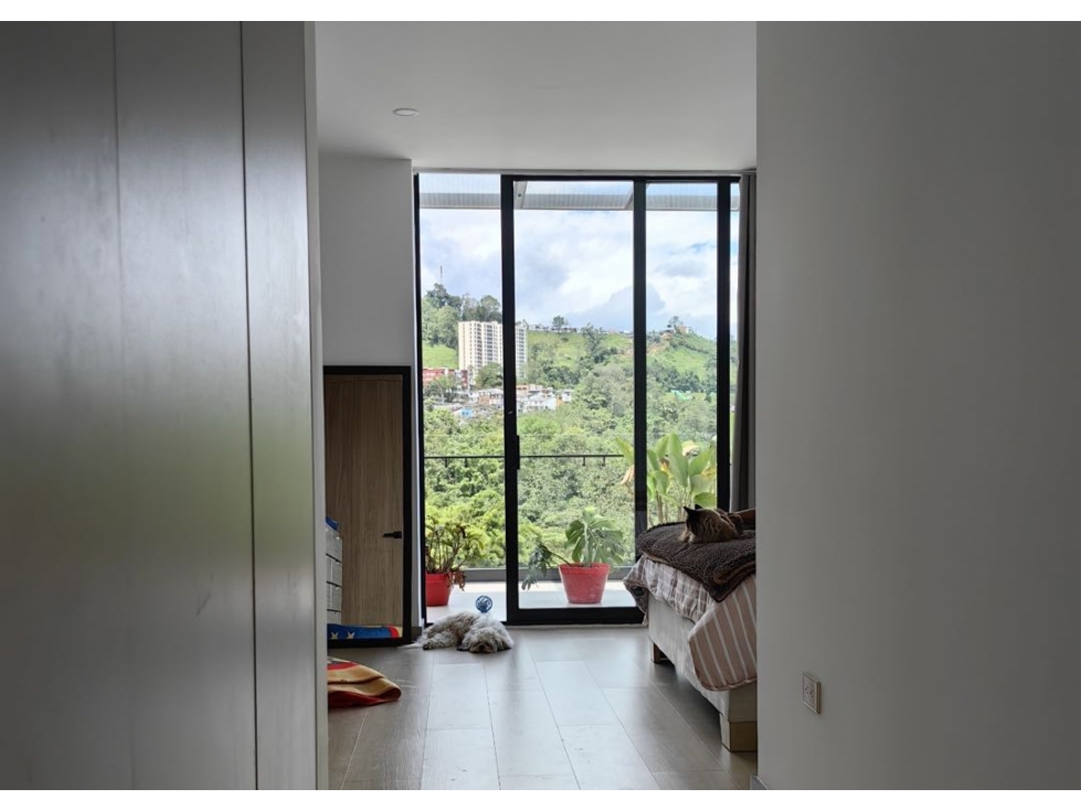 Apartamento en venta - La Francia - Manizales — foto 5
