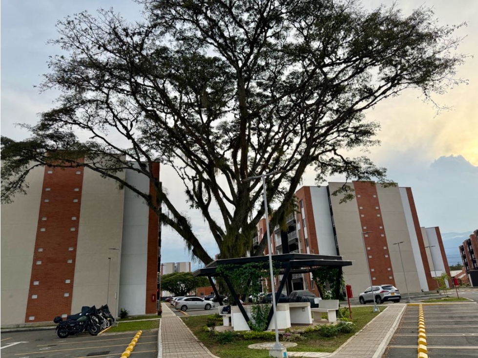 Apartamento en venta - Parque Vivero AMS.10005732