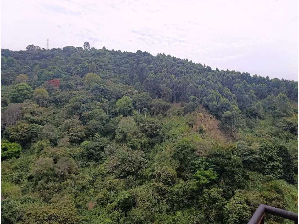 APARTAMENTO EN VENTA SECTOR RODEO ALTO, MEDELLIN — foto 2