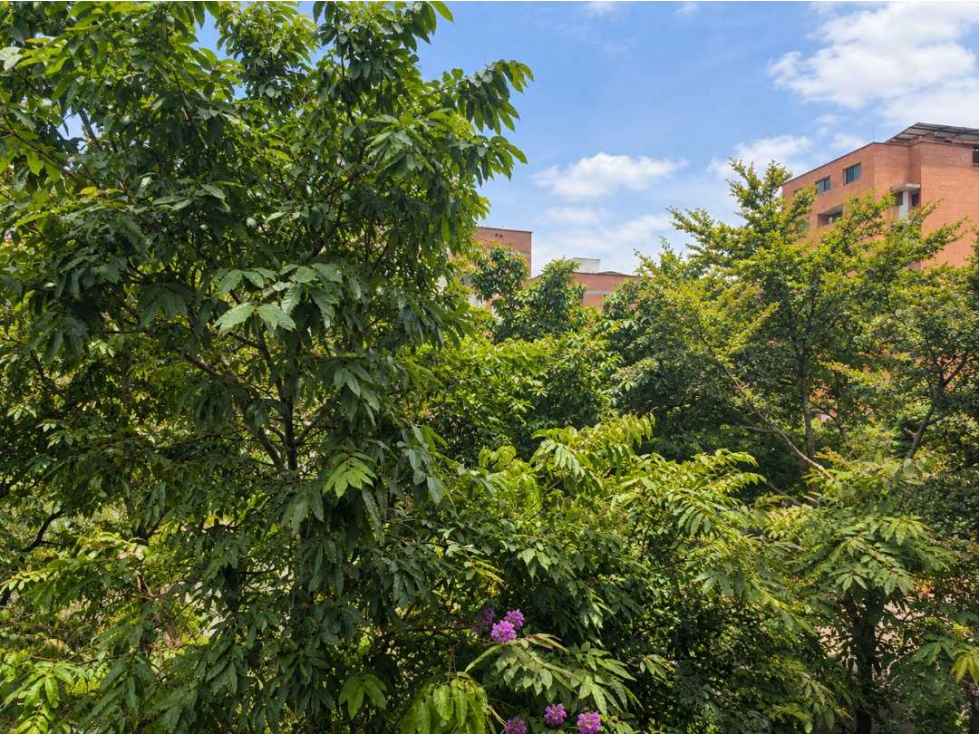 APARTAMENTO PARA LA VENTA LAURELES CERCA AL SEGUNDO PARQUE — foto 4