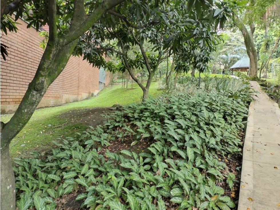 Apartamento Para Reformar En San Lucas — foto 3