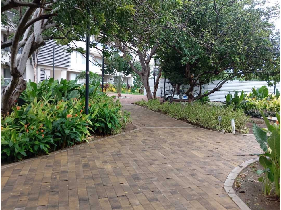 Apartamento tipo Loft con permiso de renta turística en Santa Marta — foto 4