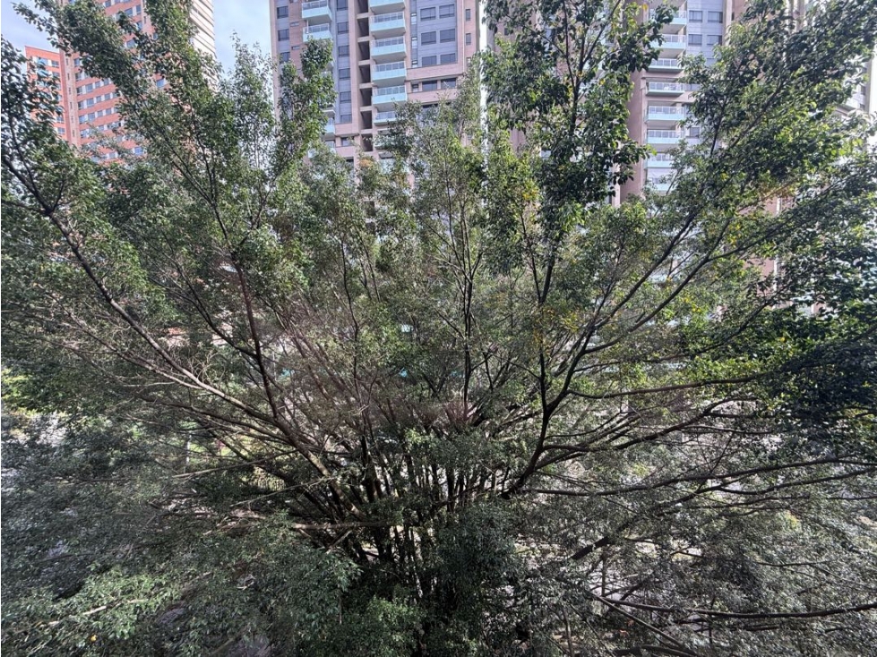 APARTAMENTO UBICADO EN LOS BALSOS — foto 4