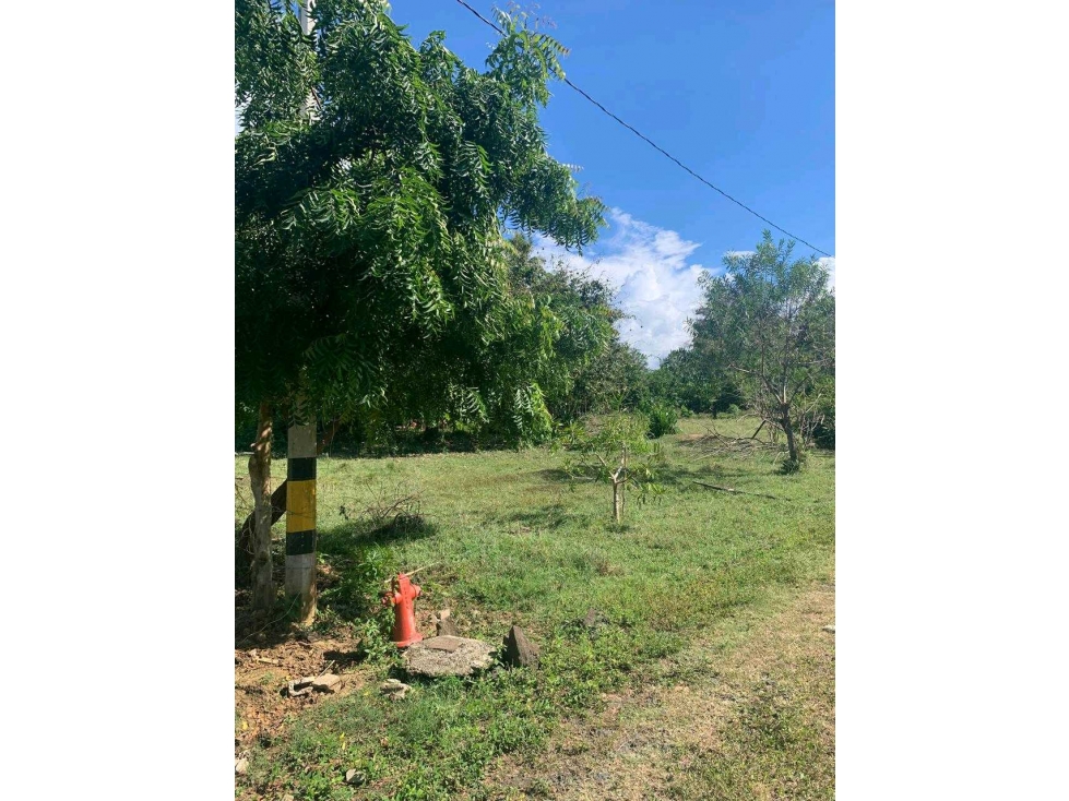 Aprovecha esta oportunidad única. Lote en venta en Arboletes Antioquia - 2