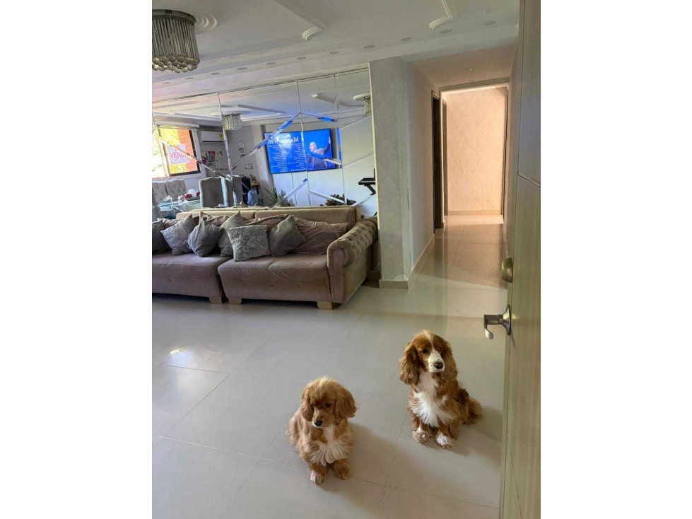 APTO EN VENTA 95 MTS VILLACAROLINA PISO 3 ESCALERAS — foto 2