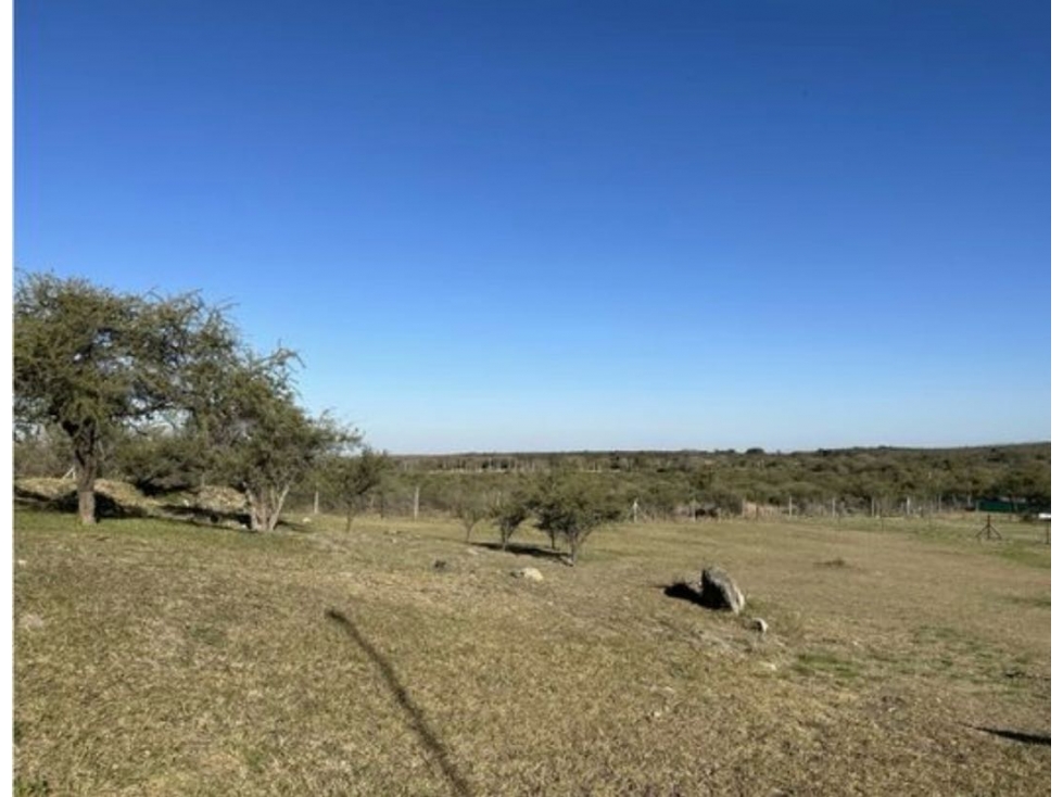 VENTA LOTE PERIMETRAL 1.200m² LA ARBOLADA - 6