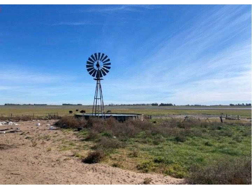 ARRENDAMIENTO CAMPO 940 HAS, MIXTO, SAN LUIS, ARGENTINA - 5