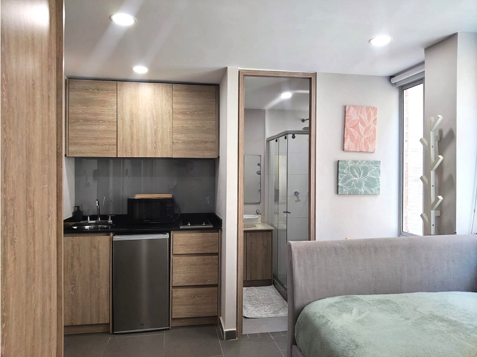 ARRIENDO AMOBLADO SANTA BARBARA ORIENTAL BOGOTÁ — foto 3
