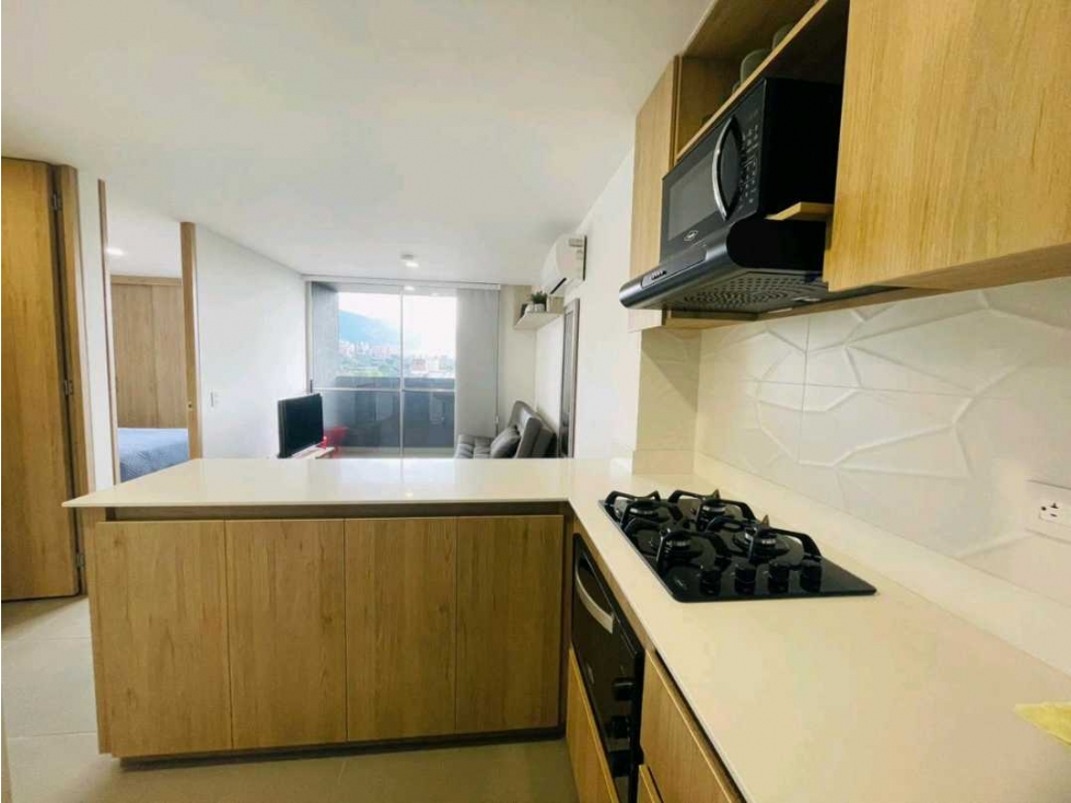 ARRIENDO APARTAESTUDIO AMOBLADO. MEDELLIN Guayabal — foto 4