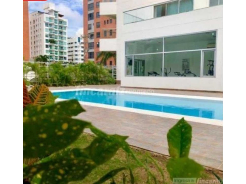 VENDO APARTAMENTO BUENAVISTA — foto 2