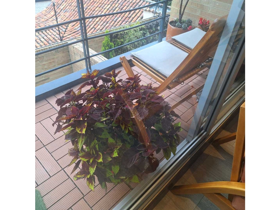 VENDO APARTAMENTO LA CALLEJA ALTA — foto 3