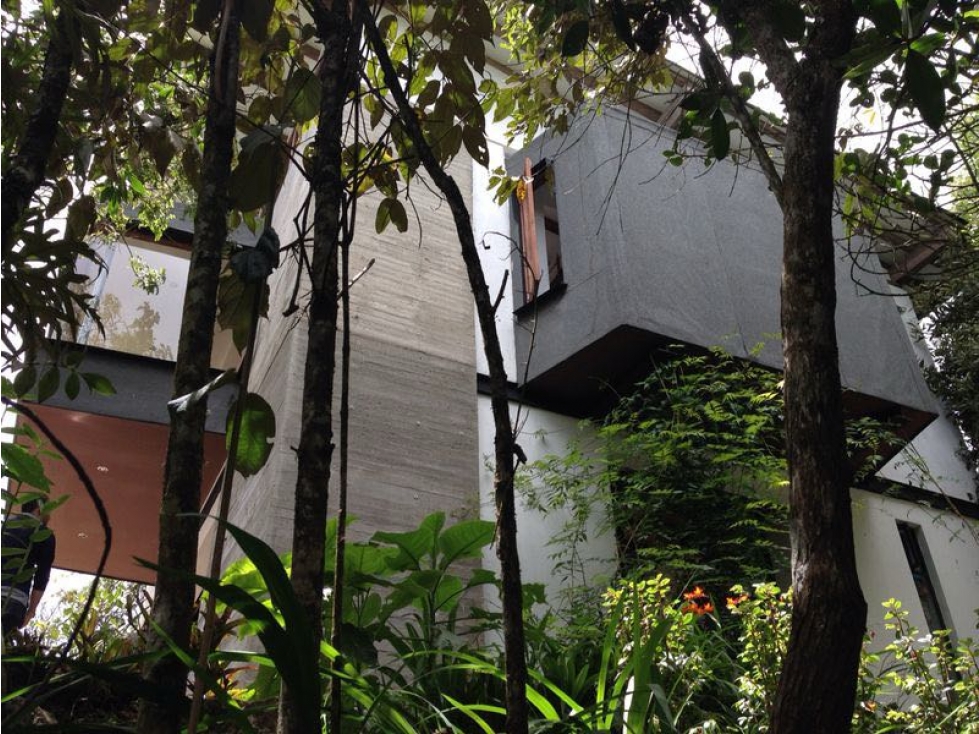 Arriendo preciosa casa en Santa Elena Vereda el Plan — foto 6