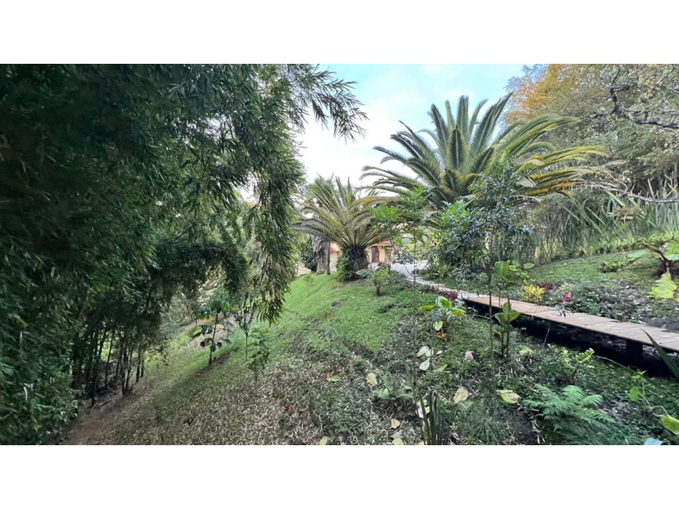 Arriendo loft amoblado con deck vía aeropuerto Rionegro