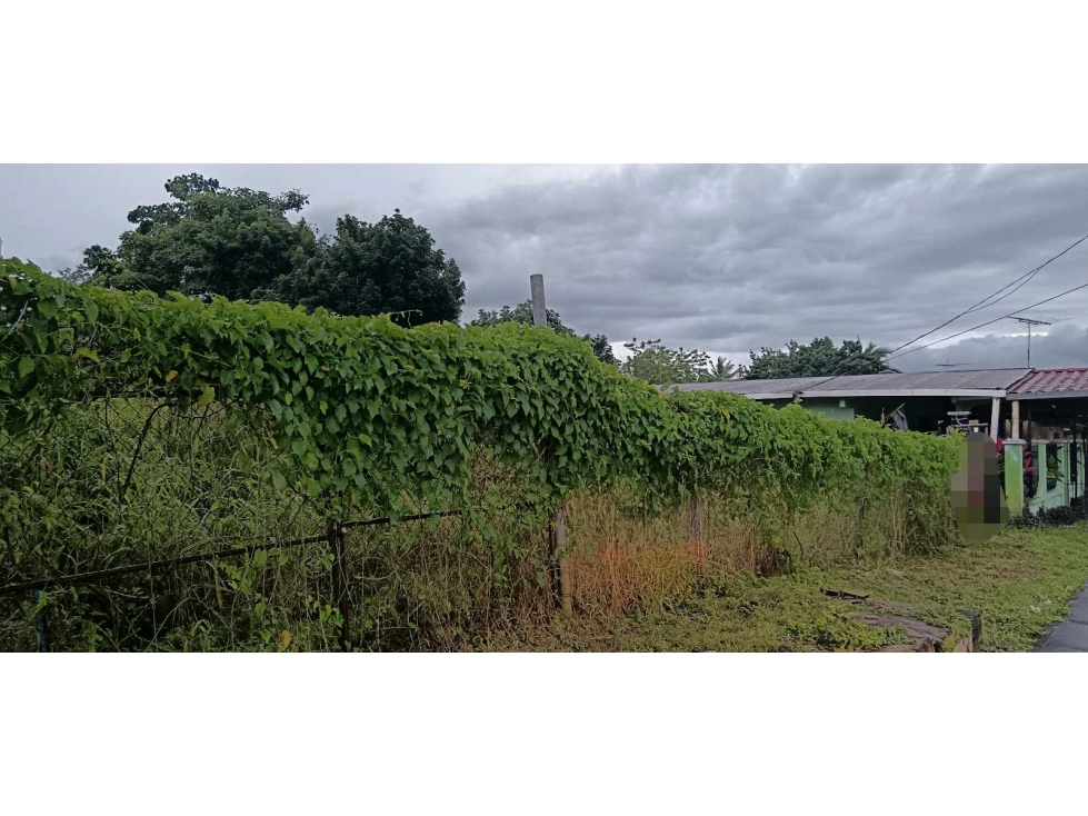AlQUILO LOTE EN CHIRIQUI BUGABA CENTRICO - 1