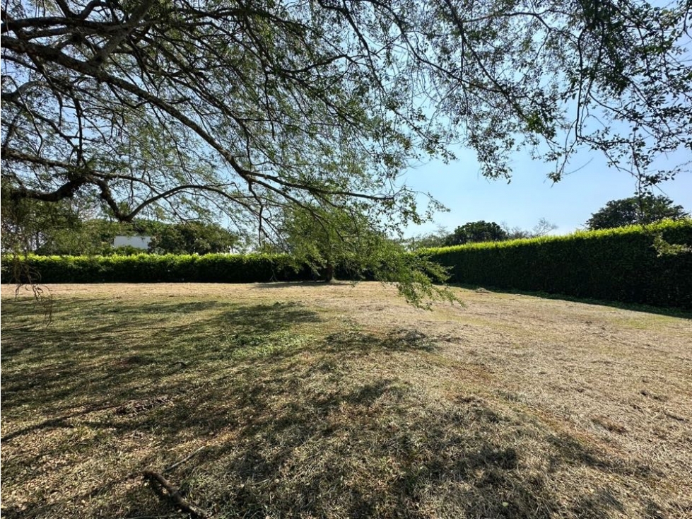 SE VENDEN DOS LOTES EN PANCE CONJUNTO CERRADO — foto 5